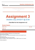 IT project management assignment answered