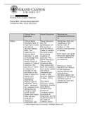 NUR 513 Topic 2 Assignment; Nursing Roles Graphic Organizer
