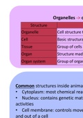 Compact Notes on Cell Structure and Function 