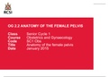 obgyn- anatomy of the female pelvis royal college of surgeons ireland