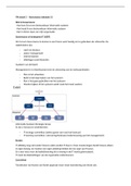 Samenvatting syllabus IT-Audit
