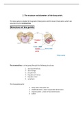 The structure and diameters of the bony pelvis (Golden notes)