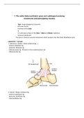 The ankle (talocrural) joint (Golden notes)