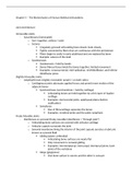 Kinesiology Notes Chapter 5