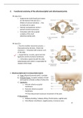 Functional anatomy of the atlantooccipital and atlantoaxial joints (Golden notes)