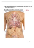 Surface projections of thoracic organs (Golden notes)