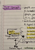 Chapter 6 Textbook Notes - Highlighted Handwritten