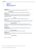 Nursing Theory Quiz&period;docx