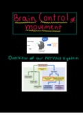 Brain Control and Movement 