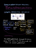 Communication between neurons: neurotransmitters 