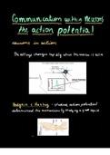 Communication within neurons: the action potential 