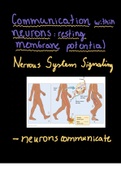 Communication within neurons: resting membrane potential 