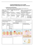 Lernzettel: Biologie Stofftransport, Stoffwechselprozesse, Proteine und Enzyme