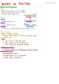 class notes