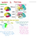 class notes