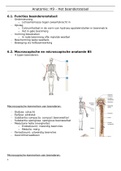 Beenderenstelsel anatomie en fysiologie