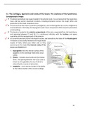 Anatomy of larynx  and hyoid bone  (Golden notes)