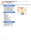 Medical-Surgical Nursing Endocrine System-Cushing, Addison, and Diabetes Insipidus