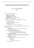 Public International Law Notes - Lectures, Workgroups & Jurisprudence 