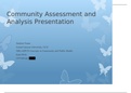 NRS 428VN Topic 4 Assignment; Community Assessment and Analysis Presentation