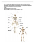 Unit 1 Principles Of Anatomy and Physiology PEARSON - BTEC Level 3 Certificate In Sport. Full Notes. Assignment. 