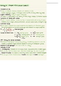 BIOL&211 - (Ch4&5) Structure and Function of Large Biological Molecules [Page 1]