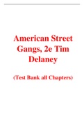 American Street Gangs 2nd Edition By Tim Delaney (Test Bank)