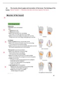 Larynx components (Golden notes)