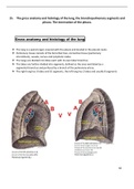 Anatomy and Histology of Lung