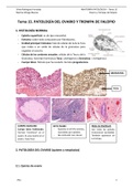 Patología del ovario y trompas de falopio