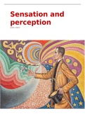 Sensation and percepption - extensive lecture notes, part test 2!! 