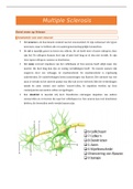 Samenvatting module 5: neurologie (multiple sclerosis, parkinson, guillain barre)