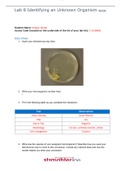 Lab 8 for Microbiology Lab from Straighterline