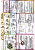 WJEC A Level Biology Revision Poster- Viruses and Influenza- Immunology and Disease