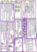 WJEC A Level Biology Revision Poster- 3.4 Microbiology 