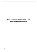 KT1 Klinisch redeneren LP8 - De Ziektebeelden