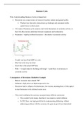 Advanced Macroeconomics Summary Notes