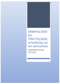 uitgebreide samenvatting embryo en teratologie : lymfestelsel 