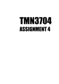 TMN3704 Assignment 4 2023