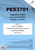 PES3701 Assignment 3 2023 (823757)