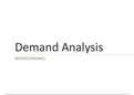 Microeconomics Demand Analysis