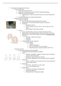 Pediatric Exam 3 Study Guide