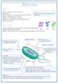 Microbe Memoirs: A Collection of Concise Notes on Bacteria and Viruses. Apart Of The Grade 11 To 12 IEB Syllabus 