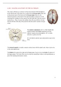 Intro to Neuroscience: LAB MATERIALS (Grade: 9.5)