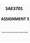 SAE3701 Assignment 3