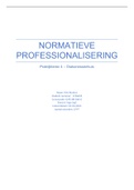 Praktijkleren 4, Normatieve professionalisering