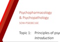 Psychopharmacology and Psychopathology Raboud Lecture 1