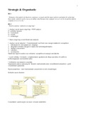 College aantekeningen Strategie en Organisatie  &lpar;441009-B-6&rpar; 