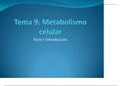 Metabolismo celular 