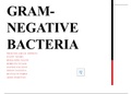 Gram-negative bacteria